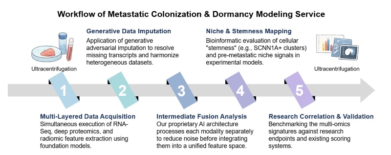 Core steps of metastatic colonization & dormancy modeling. (Creative Biolabs Original)