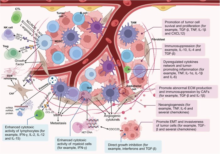 Fig 1. The tumor microenvironment influences cancer metastasis. (OA Literature)