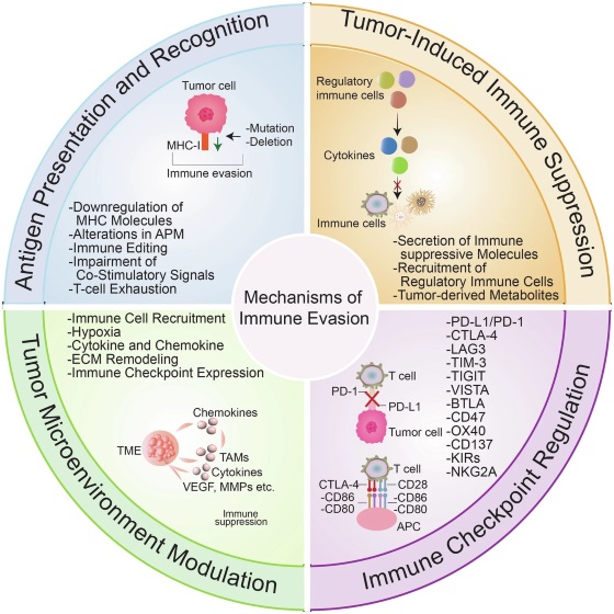 Fig 1. The diverse mechanisms by which cancer cells evade immune surveillance. (OA Literature)