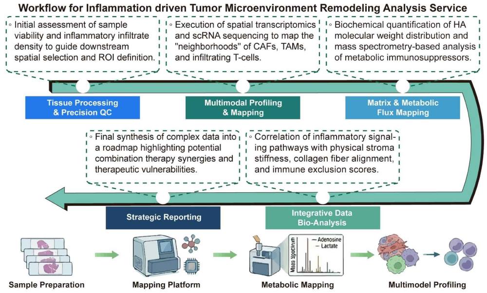 A simple procedure for inflammation driven tumor microenvironment remodeling analysis service. (Creative Biolabs Original)