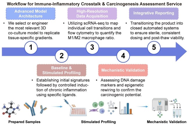A simple procedure for immune-inflammatory crosstalk and carcinogenesis assessment service. (Creative Biolabs Original)