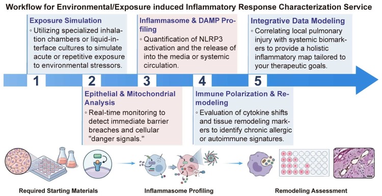 A simple procedure for environmental/exposure induced inflammatory response characterization service. (Creative Biolabs Original)