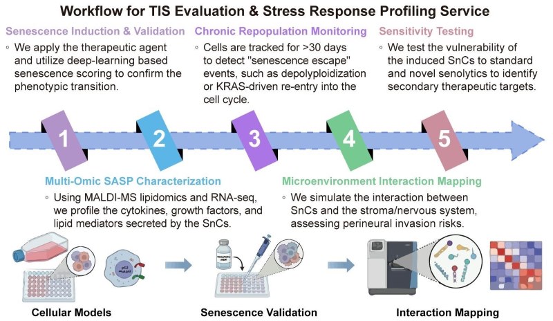 A simple procedure for TIS evaluation and stress response profiling service. (Creative Biolabs Original)