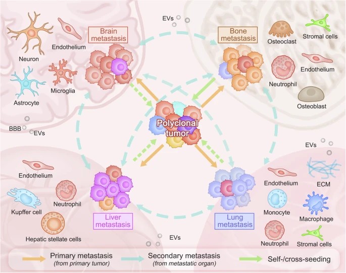 Fig 1. Drug sensitivity screening protocols. (OA Literature)