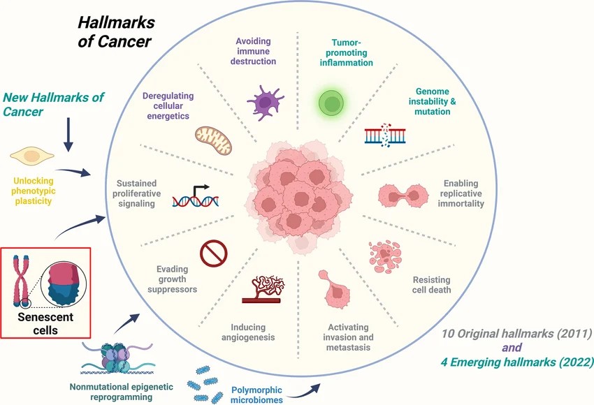 Fig 1. New cancer hallmarks enrich basic oncology research. (OA Literature)