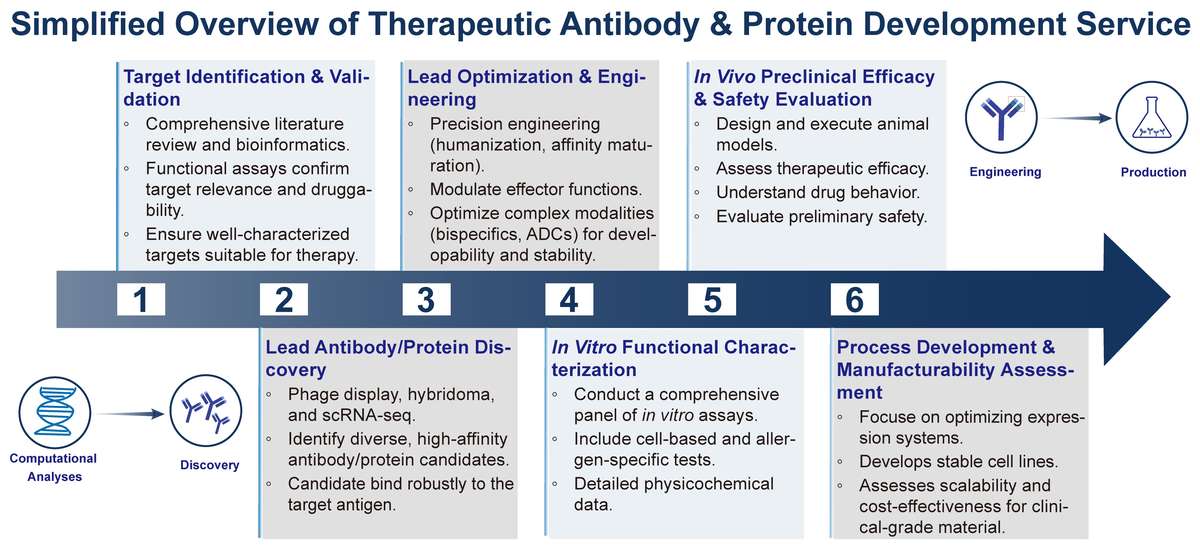 A simple procedure for therapeutic development service. (Creative Biolabs Original)