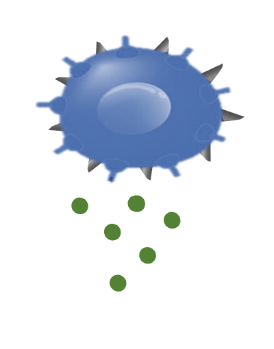 Engineering cancer cells with cytokine overexpression
