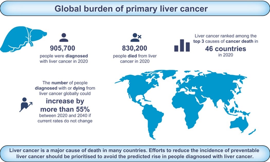 Global burden of primary liver cancer in 2020 and predictions to 2040.