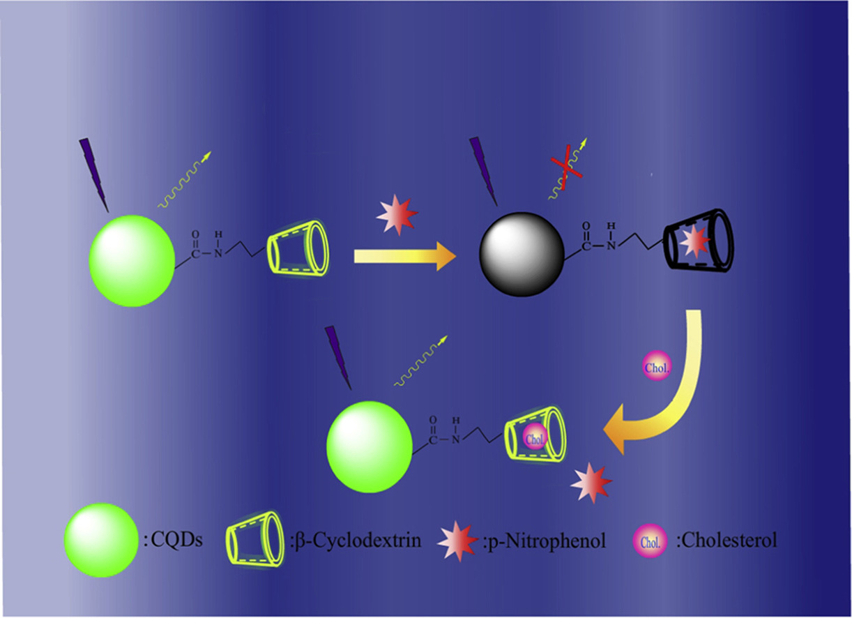 A fluorescent method for the detection of cholesterol.