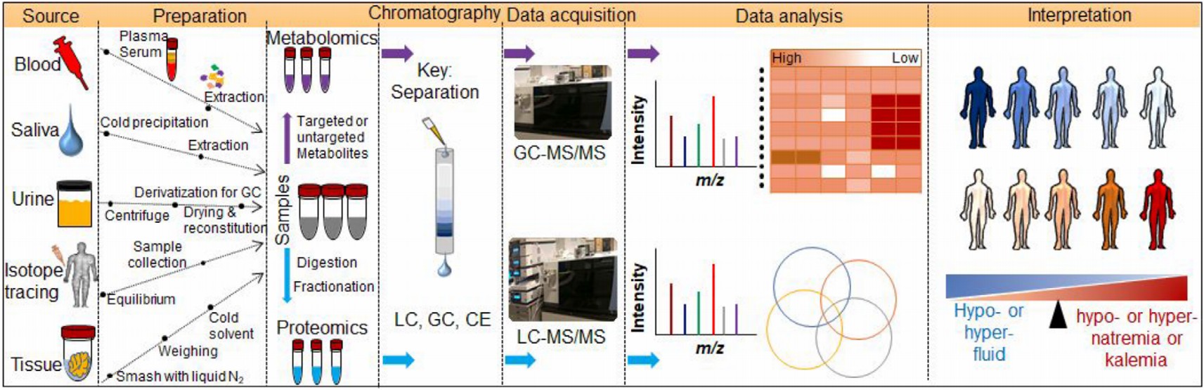The typical vital steps of electrolyte analysis.