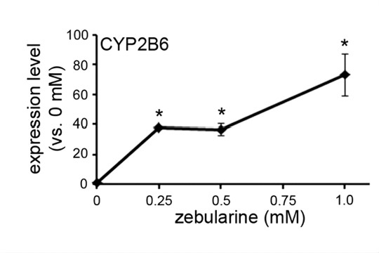 Fig.1 Expression levels of CYP2B6. (Nakamura, et al., 2017)
