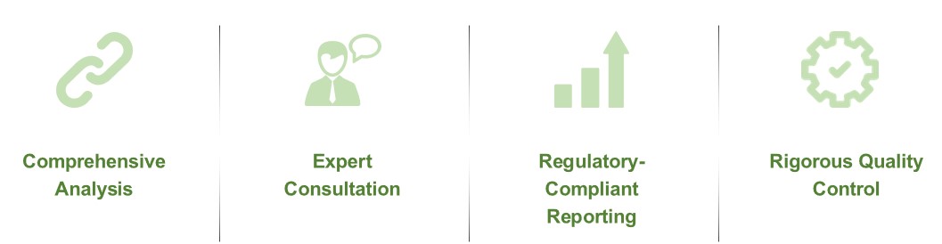 Fig.2 Highlight of our service. (Creative Biolabs Original)