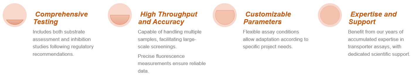 Fig.1 Features of Our Services. (Creative Biolabs Original)