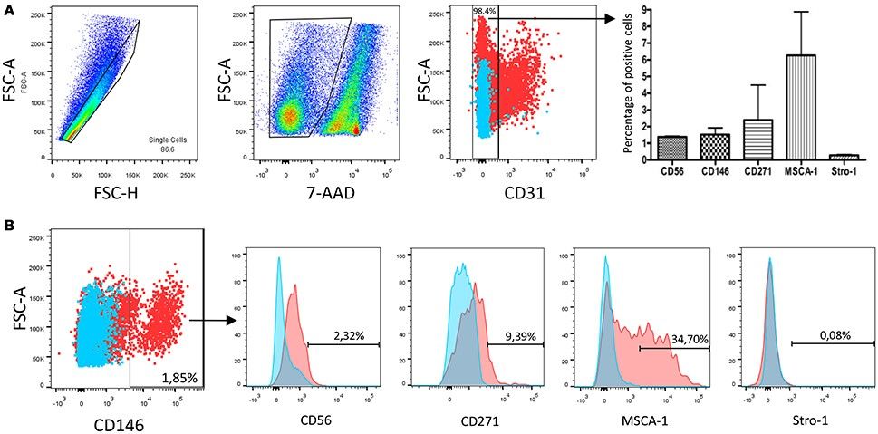 Fig.1 In vivo profiling of the human DP-MSCs immunophenotype. (OA Literature)
