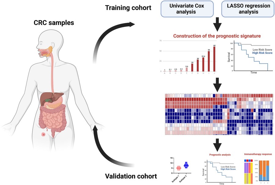 Fig.1 Immune subtype studies based on prognostic signatures. (OA Literature)
