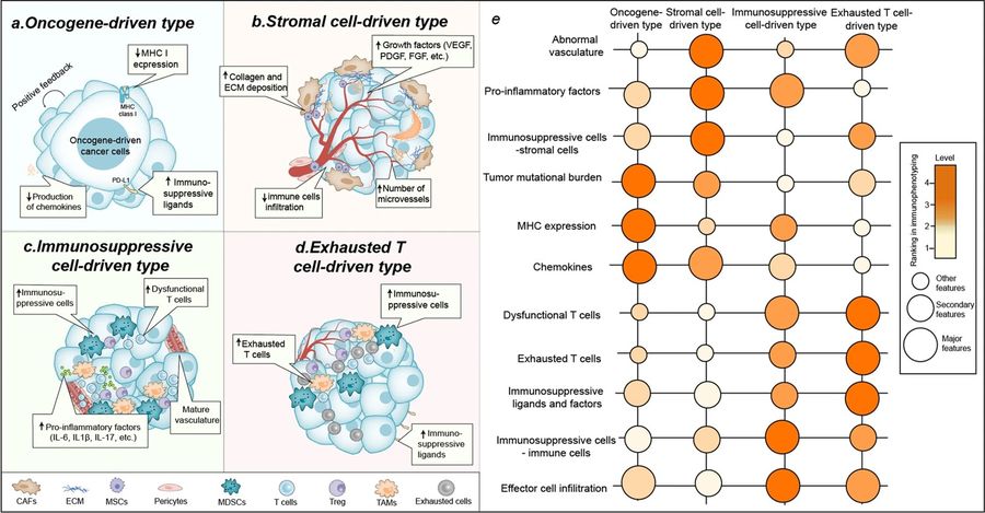 Fig.1 Four immunophenotypes of tumor microenvironment based on the driving factors. (OA Literature)
