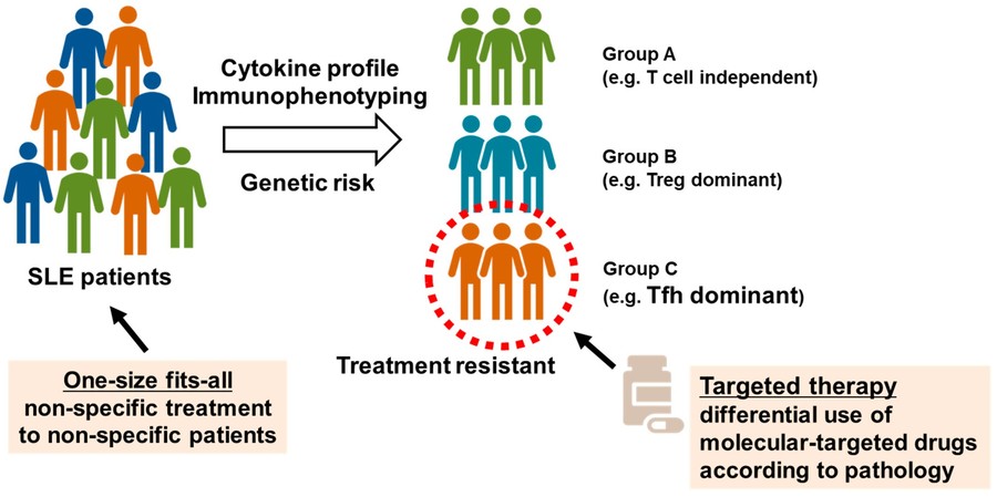 Fig.1 Identification of systemic lupus erythematosus (SLE) subpopulations via peripheral blood immunophenotyping (OA Literature)