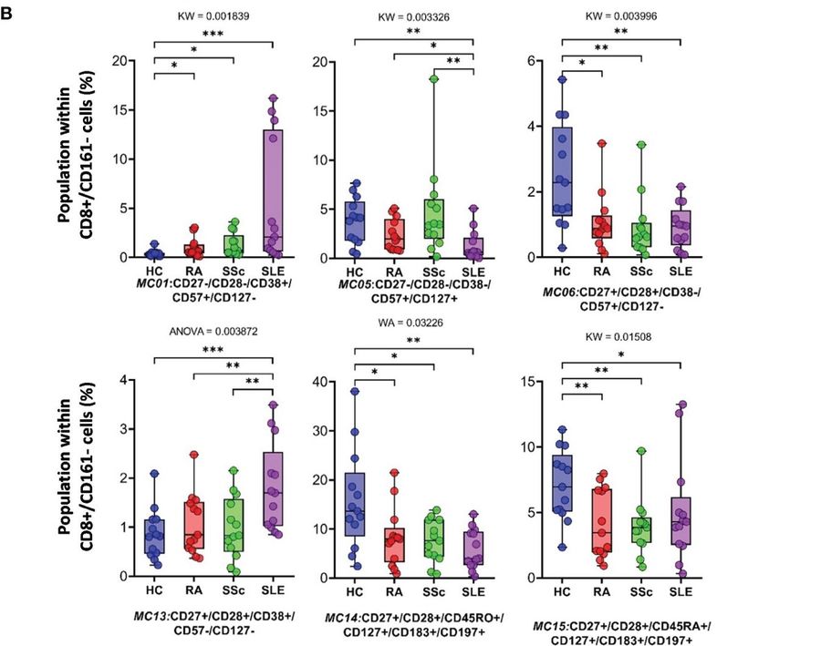 Fig.2 The subpopulations of CD8+/CD161− cytotoxic T cells. (OA Literature)