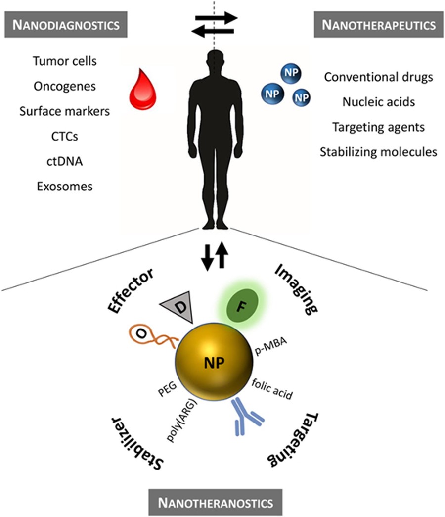 Fig.1 Precision nanomedicine for the management of hematological disorders. (OA Literature)