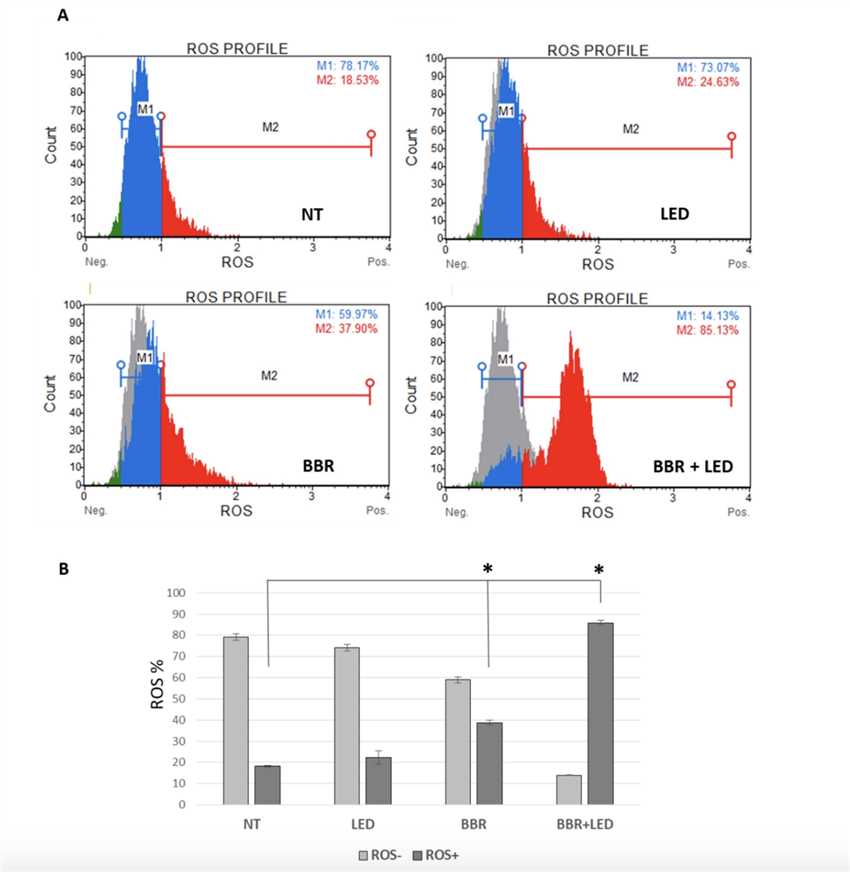 Oxidative Stress Analysis.