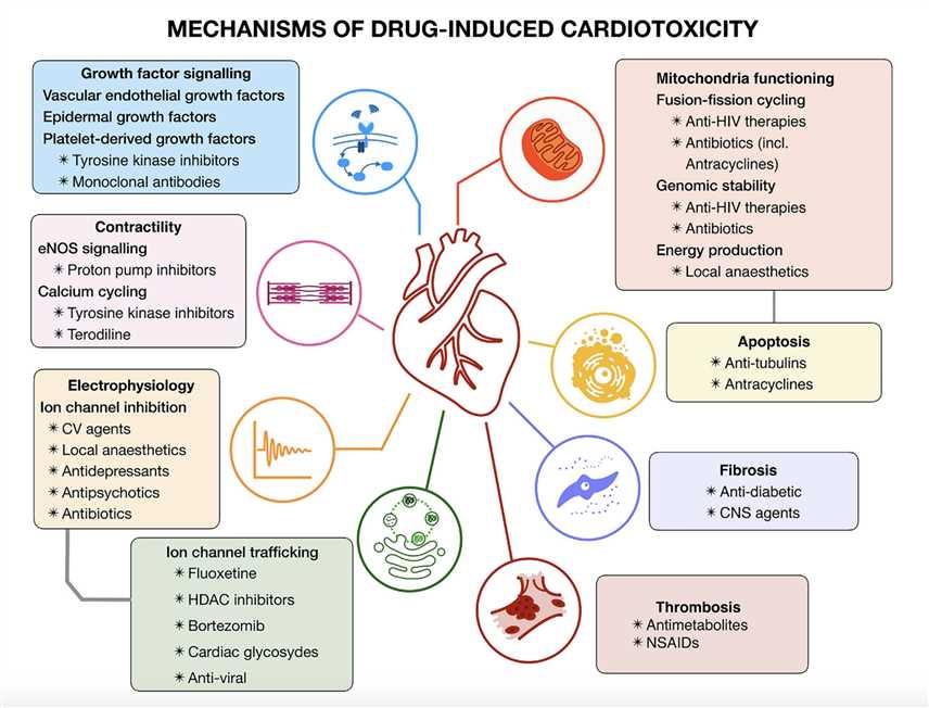 Mechanisms of Drug-induced Cardiotoxicity.