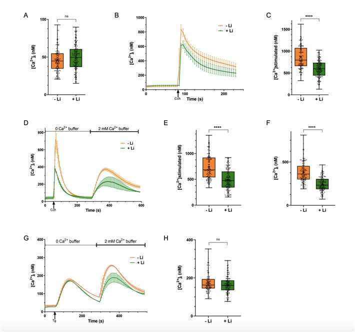 Chronic Lithium Treatment Reduces PLC Dependent Intracellular Ca2+ Mobilization.