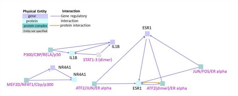 Interactions Between Genes that Are Upregulated Exclusively in Cardiotoxicity.