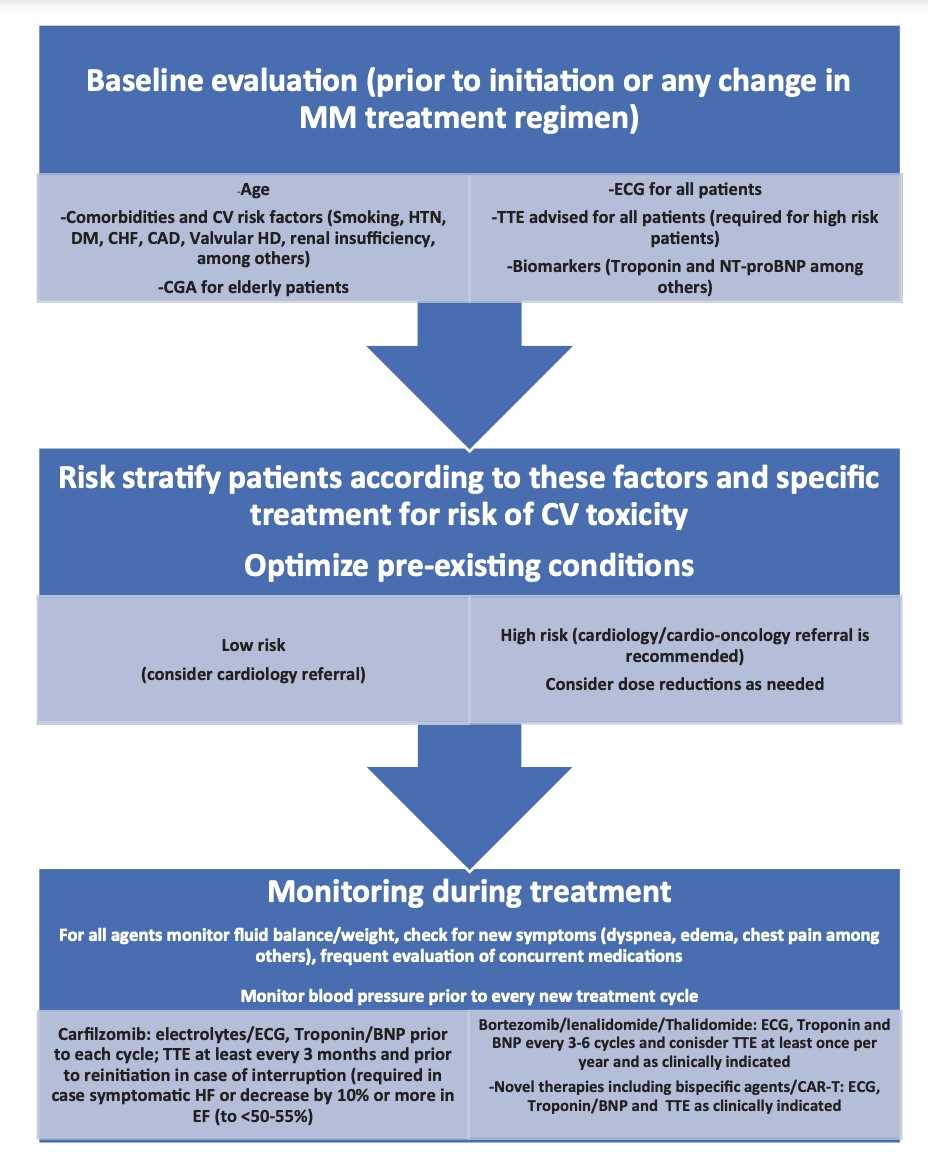 Suggested Cardiac Monitoring Before and During Multiple Myeloma Treatment.