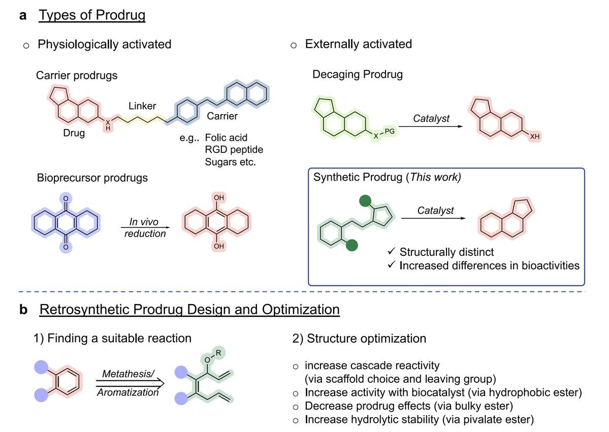 Directions in Prodrug Design.