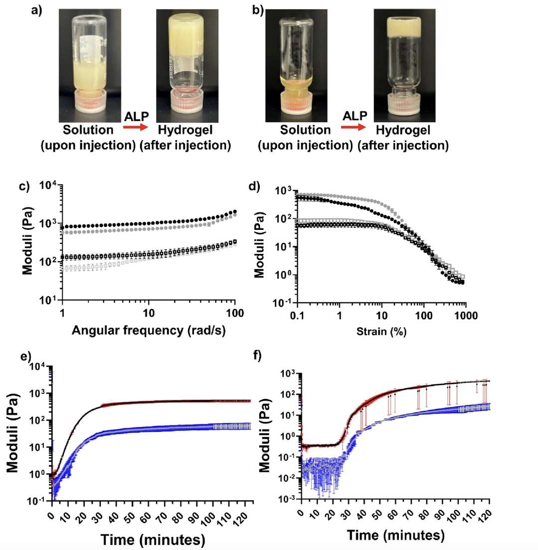 Vial Inversion Assays for Different Peptide Drug Conjugates.