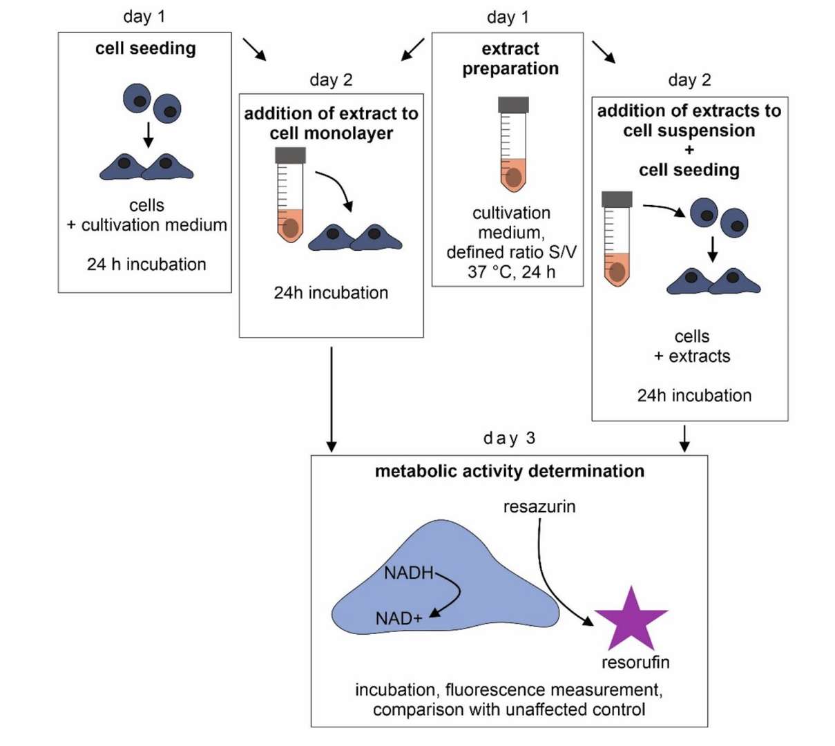 Two Modes of In Vitro Cytotoxicity Testing.