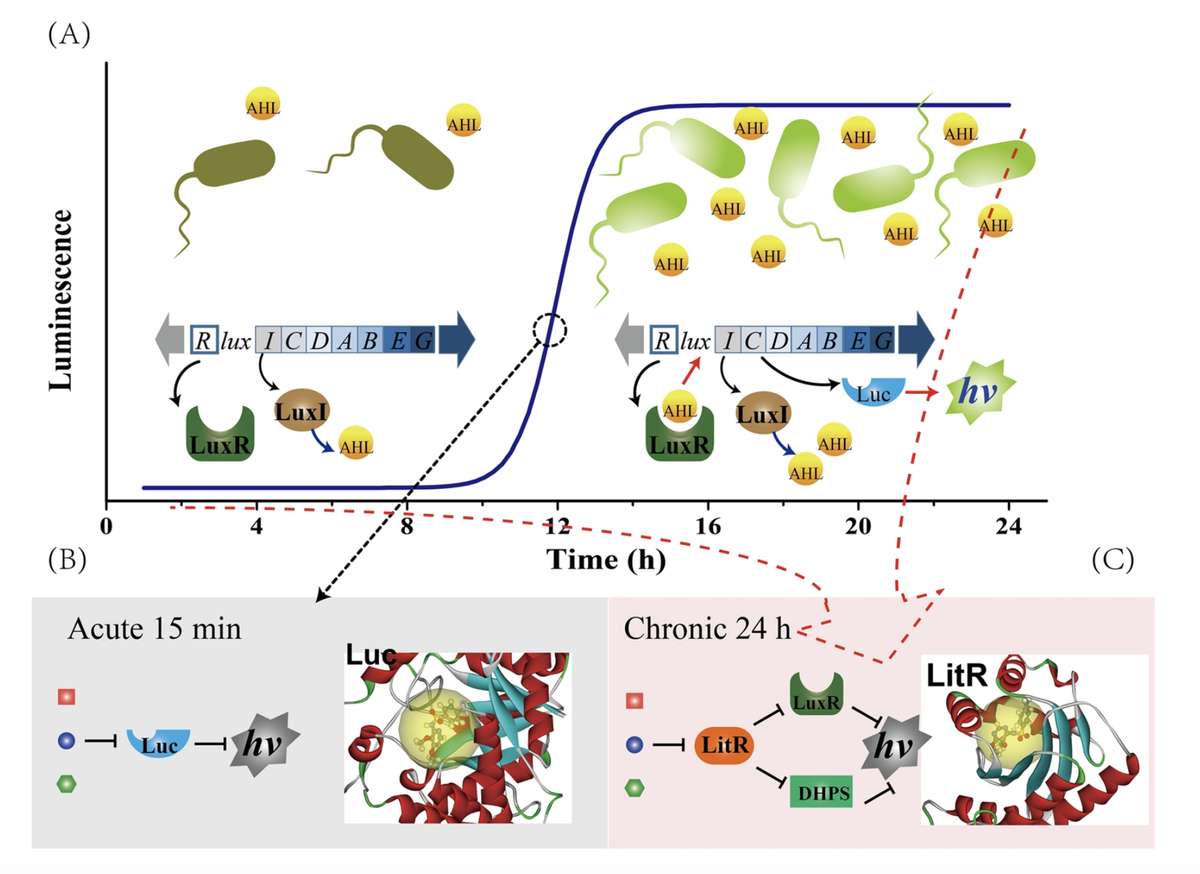 Mechanisms for the Acute and Chronic Toxicity of Individual Chemicals.