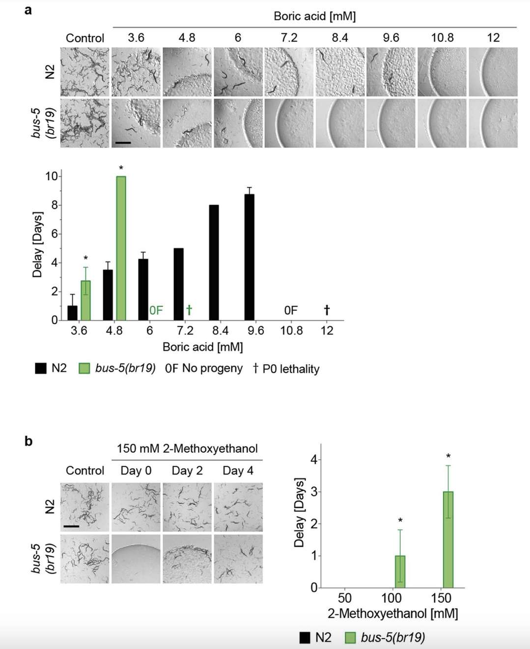 Comparison of Sensitivity of Different Toxicity Assays.