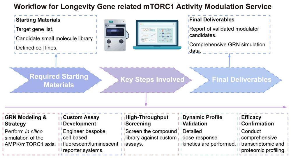 A simple procedure for longevity gene related mTORC1 activity modulation. (Creative Biolabs Original)