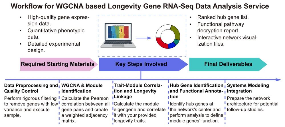 A simple procedure for WGCNA based longevity gene RNA-seq data analysis. (Creative Biolabs Original)