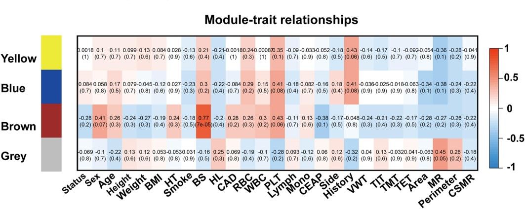 Fig.1 WGCNA reveals four distinct co-expression modules among differentially expressed genes. (OA Literature)
