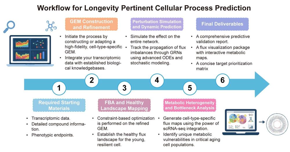 A simple procedure for longevity pertinent cellular process prediction. (Creative Biolabs Original)