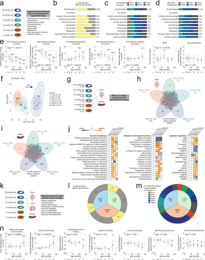 Fig 1. Integrated analyses of phenotypic aging in a mouse model. (OA Literature)