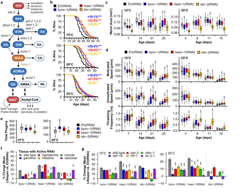 Fig 1. Preparation and the large-scale expansion of TIL from tumor tissue. (OA Literature)