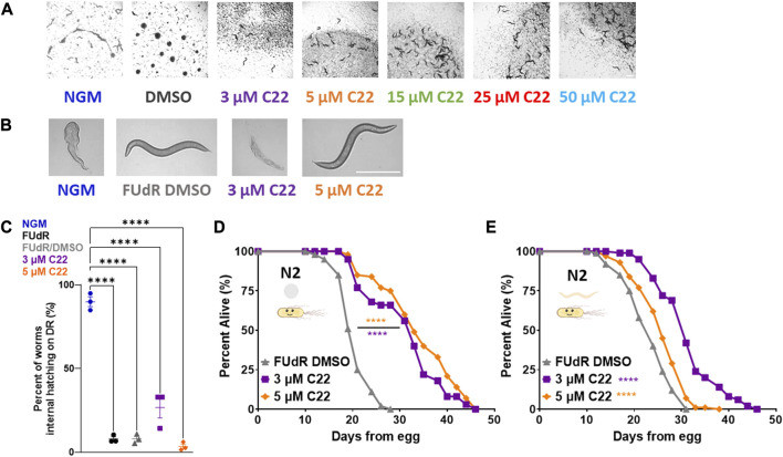 Fig 1. C22 disrupts embryogenesis and extends wild-type C. elegans lifespan. (OA Literature)