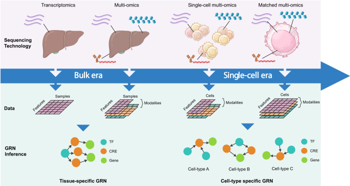 Fig 1. Schematic illustration of the parallel development and evolution of GRN inference and sequencing technologies. (OA Literature)