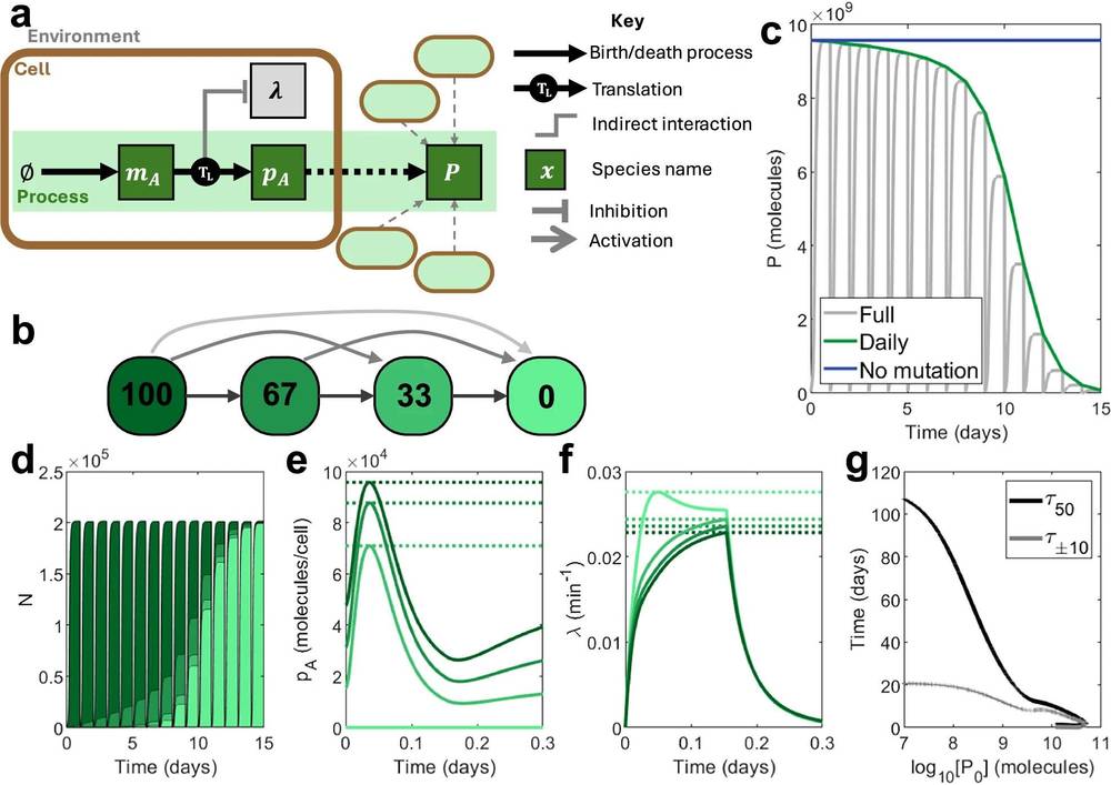 Fig.1 Modeling open-loop operation in a repetitive batch system. (OA Literature)