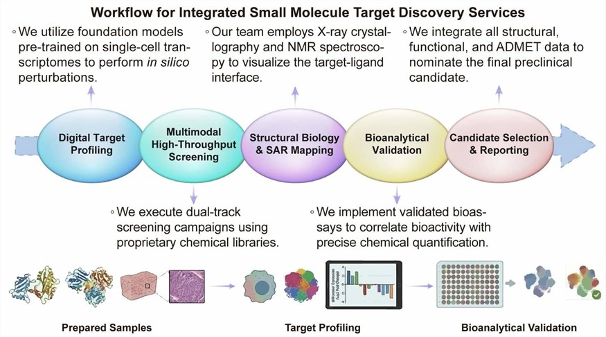 A simple procedure for integrated small molecule target discovery services. (Creative Biolabs Original)