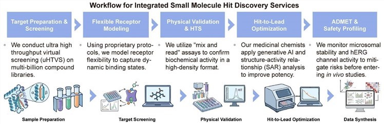 A simple procedure for integrated small molecule hit discovery services. (Creative Biolabs Original)
