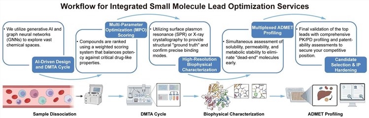 A simple procedure for integrated small molecule lead optimization services. (Creative Biolabs Original)