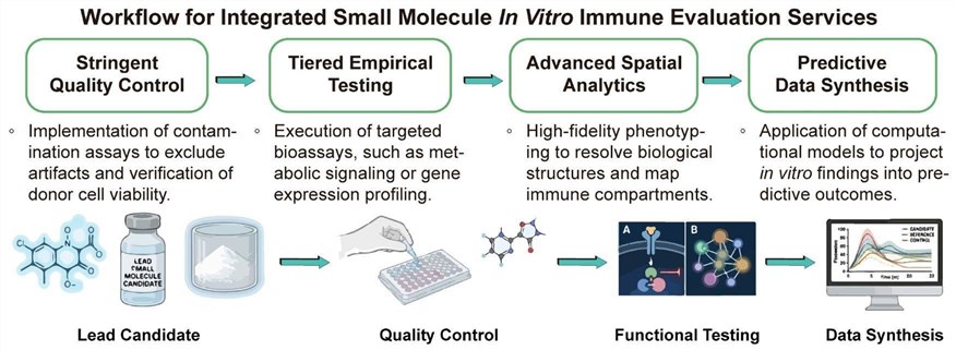 A simple procedure for integrated small molecule in vitro immune evaluation services. (Creative Biolabs Original)