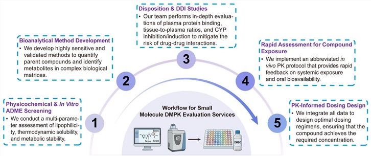 A simple procedure for small molecule DMPK evaluation services. (Creative Biolabs Original)