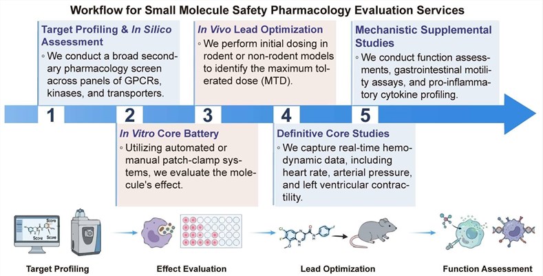 A simple procedure for small molecule safety pharmacology evaluation services. (Creative Biolabs Original)