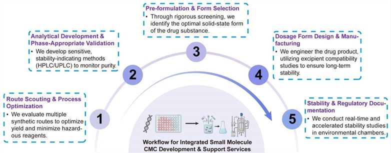 A simple procedure for integrated small molecule CMC development and support services. (Creative Biolabs Original)