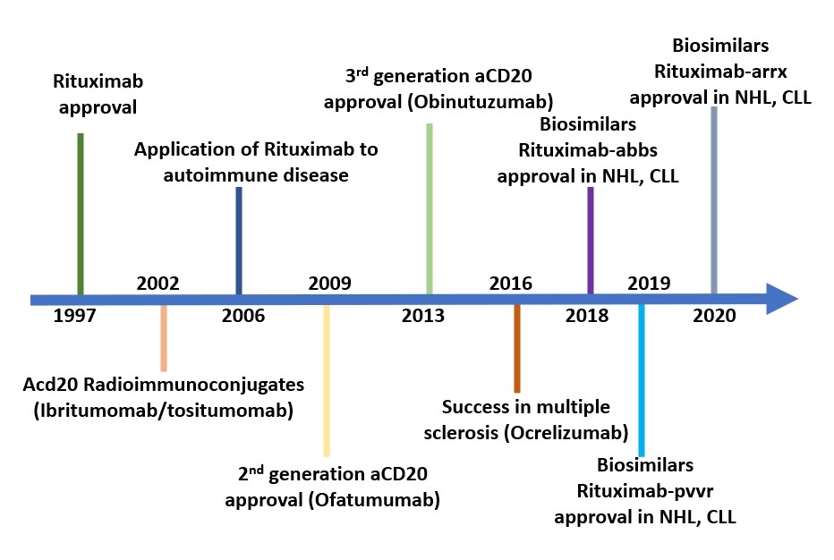 Fig.1 Key approved antibodies and combination therapies targeting CD20. (Creative Biolabs Original)